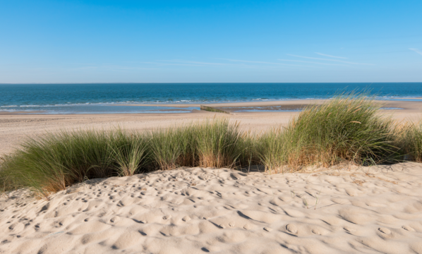 borkum