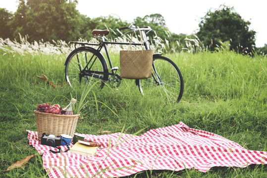 picknick