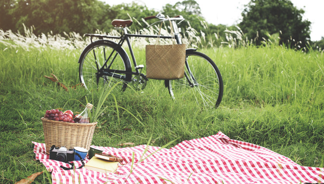 picknick