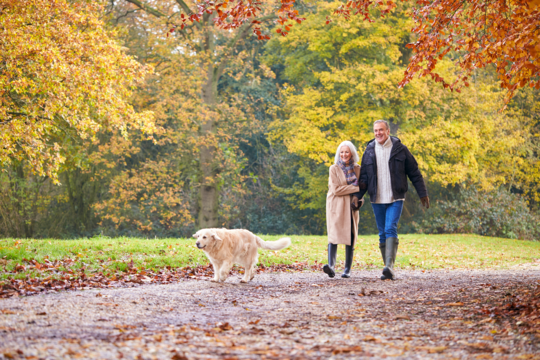 Senioren wandeling Groningen