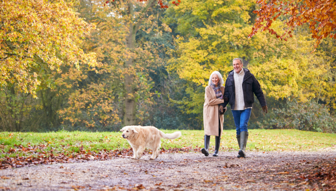 Senioren wandeling Groningen