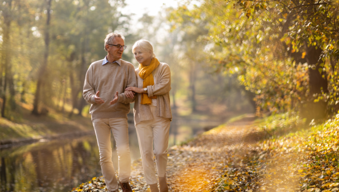 Seniors hiking in a forest